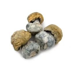 avalanche mushroom