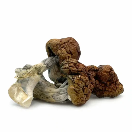 Blue Pulaski Mushroom