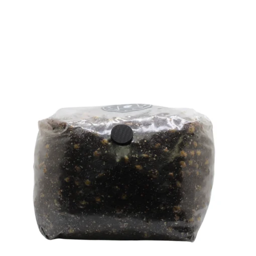 Mushroom grow bags